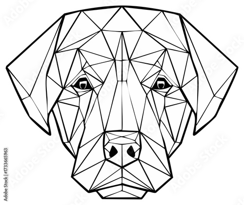 Modern Abstract Geometric Dog Head Polygonal Line Art Illustration