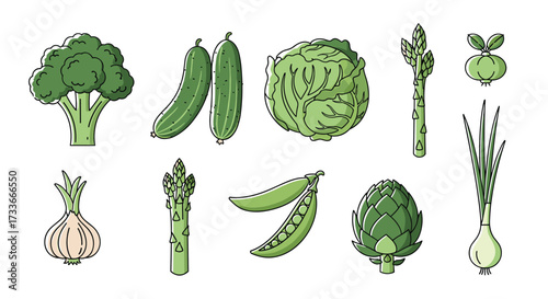 A colorful assortment of fresh vegetables ready for cooking.