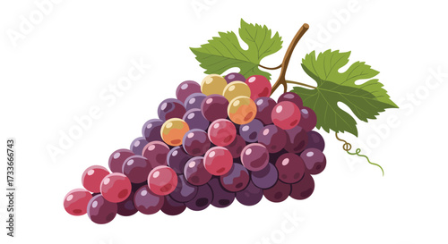 A vibrant bunch of ripe grapes with green leaves hanging from a vine.
