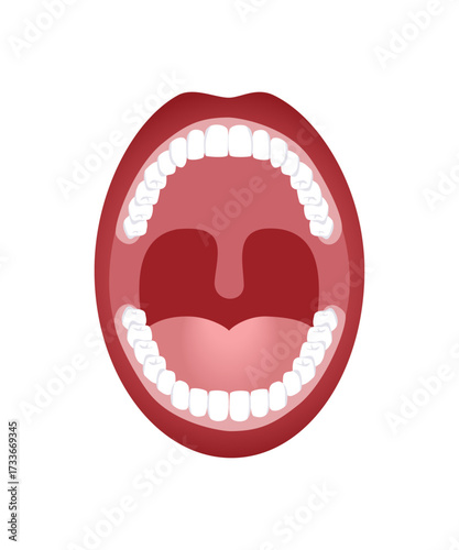 Human mouth wide open, showing teeth and throat.