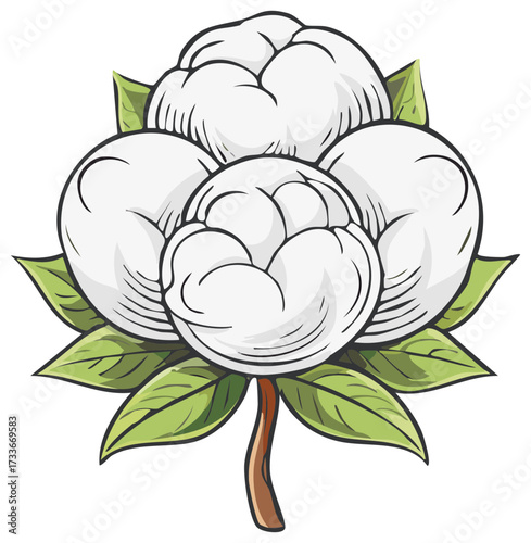 Stylized illustration of a cotton plant with white bolls and green leaves