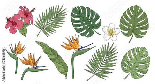 Tropical Blooms and Foliage Exotic Floral Collection