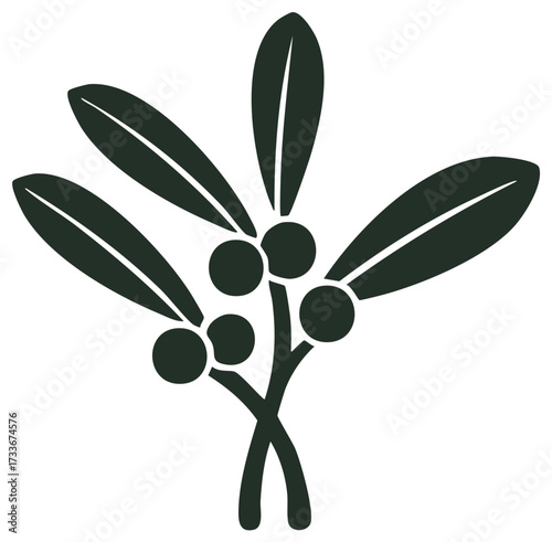 Stylized olive branch with fruit and foliage simple nature inspired graphic icon