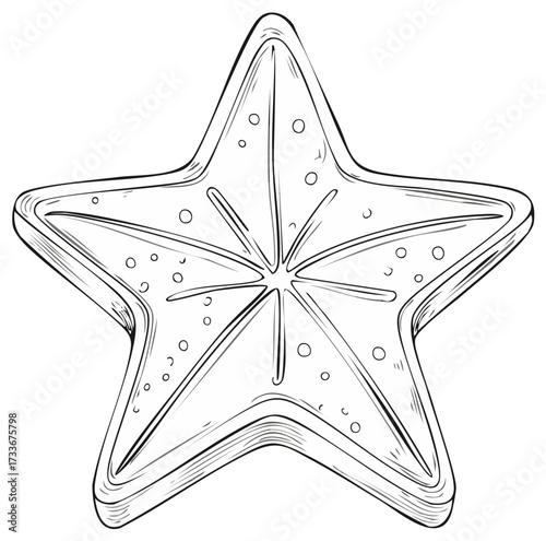 Stylized five-pointed star outline drawing with internal lines and decorative dots