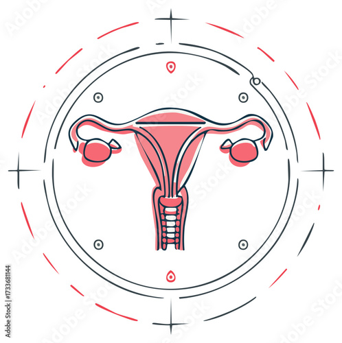 Female Reproductive System Artistic Illustration - Anatomical Line Art