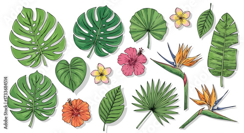 A vibrant, hand-drawn collection of tropical leaves and flowers, including monstera, palm, hibiscus, and plumeria, isolated for botanical design