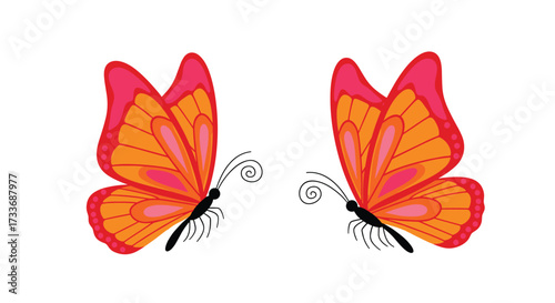 Two beautiful colorful butterflies with orange and pink wings gracefully flying.