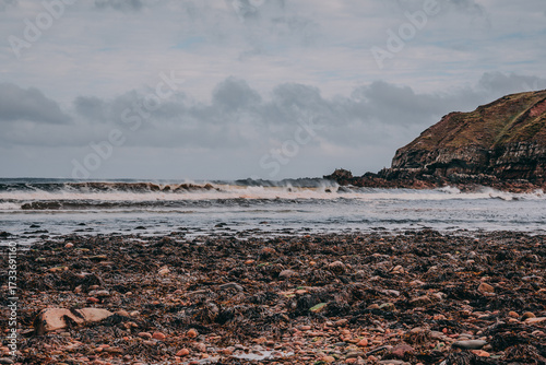 beach and rocks