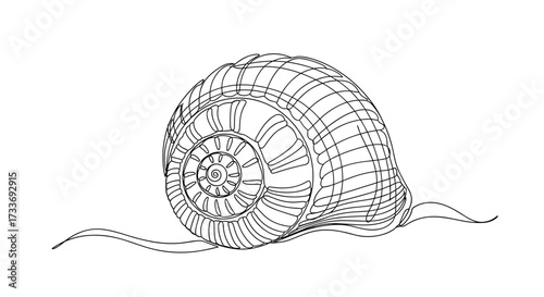 An intricate detailed outline drawing of a coiled spiral seashell resting on sand.