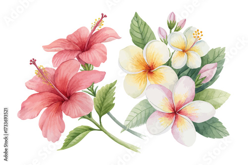 tropical watercolor hibiscus and frangipani flowers vector illustration