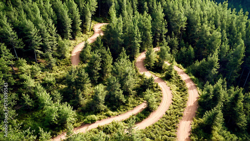 Serpentine dirt road winds through lush green forest canopy, offering breathtaking aerial views of nature's tranquility and adventure.