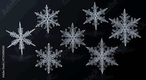 Seven intricate, crystalline snowflakes displayed against a dark, reflective background, showcasing their delicate structures.
