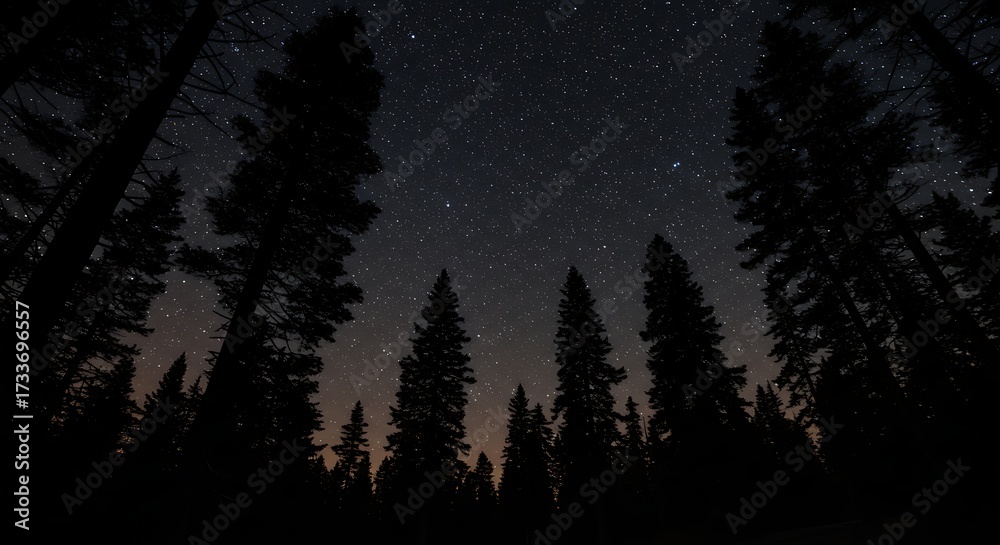 Fototapeta premium Silhouette of trees against starry night sky dark forest landscape