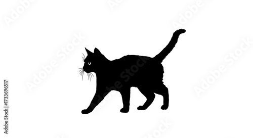 Silhouette of a black cat walking gracefully across a white background, tail held high.