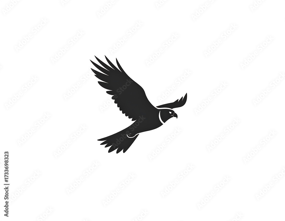 Obraz premium Silhouette of a bird in flight