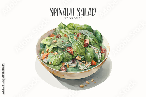 Spinach salad watercolor vector on isolated background. Perfect for healthy food illustrations, recipe books, restaurant menus, organic lifestyle visuals, and fresh diet concept designs.