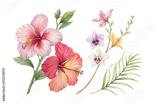 Tropical Hibiscus and Orchid Watercolor Combo isolated on white background