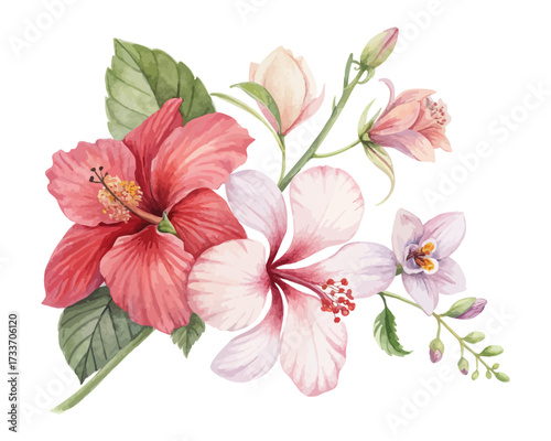 Tropical Hibiscus and Orchid Watercolor Combo isolated on white background