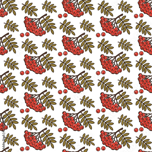A seamless pattern with red rowan berry branches and green leaves. An autumnal decorative ornament with berry clusters, executed in a line illustration style. A vibrant seasonal background for packagi