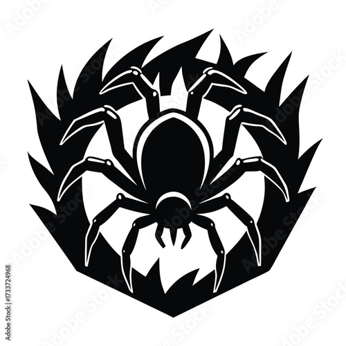 Black spider with sharp flames arachnid insect