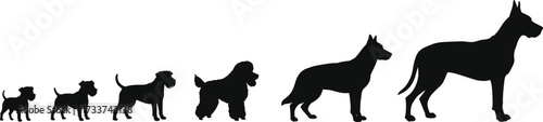 PrintSilhouette of six dogs in size comparison, small to large breeds, pet diversity, animal growth stages, canine evolution, educational illustration