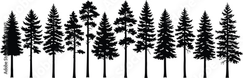 Coniferous tree silhouette row with varied heights and foliage styles for forest, nature, wilderness, and minimalist vector illustration design