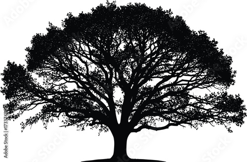 Large deciduous tree silhouette with thick trunk and complex branches—black vector illustration for nature, botany, landscape, and design themes