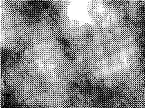 HALFTONE BACKGROUND_25