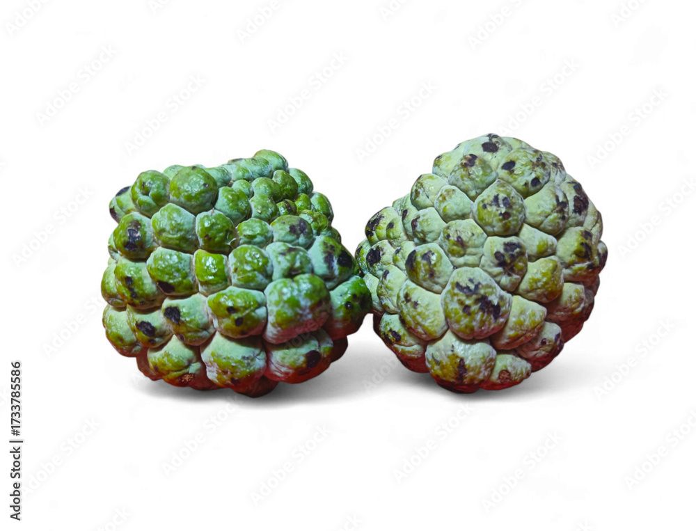 Fototapeta premium Two Ripe Custard Apples Isolated on White