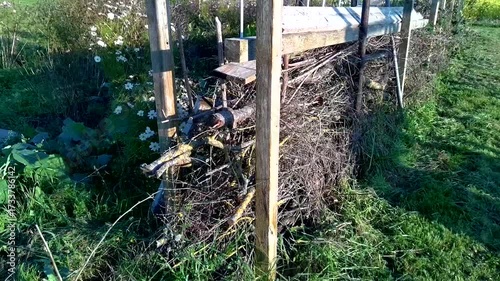 Aerial view of an ecological garden, vegetable, flower, dry hedge, chard, bean, tomato, cabbage, cosmos, calendula