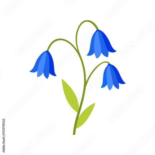 a clean vector art illustration of bluebell flower