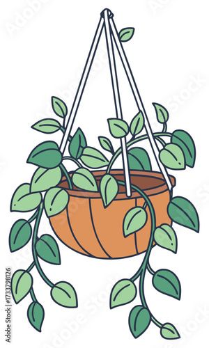 A terracotta-colored pot with vertical lines, suspended by white or light-colored strings. A lush, vining plant with varying shades of green leaves is overflowing from the pot and trailing downwards. 