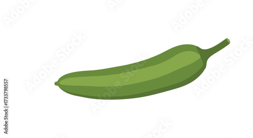 A fresh green cucumber for healthy eating and cooking.