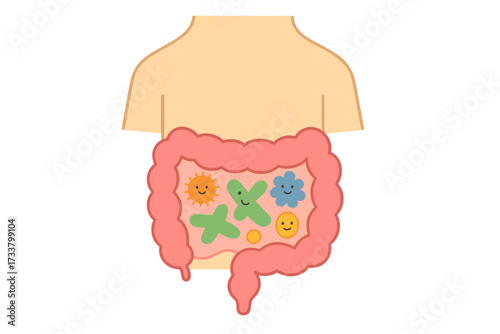 Good intestine flora concept. Healthy gut microbiome. Gastrointestinal tract and digestive system with good bacteria. Probiotics and prebiotics vector illustration. Digestion.
