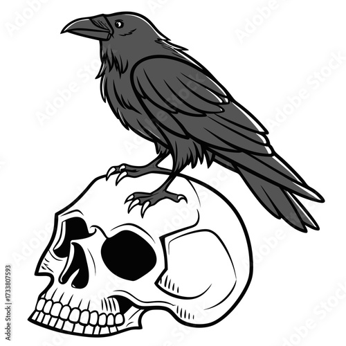 A black raven perched on a white skull bird death