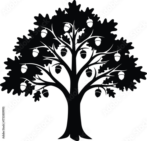 Strong majestic oak tree silhouette covered with numerous hanging acorns vector graphic illustration representing nature forestry strength durability and tradition.