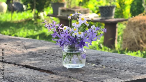 White Marguerite in a glass vase on the wooden table