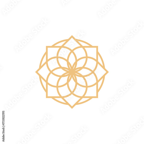 Geometric magnolia design featuring interlocking circles and squares forming a symmetrical, floral-like pattern in a light golden color.