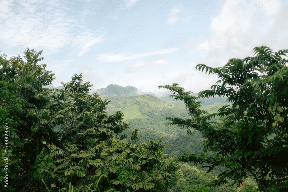 Obraz premium A collection of serene landscapes and vibrant nature moments — where the sea meets the sky and colors come alive.