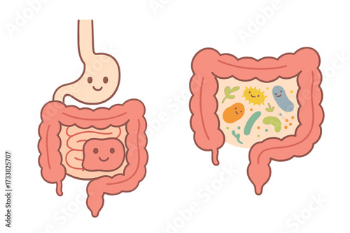 Good intestine flora concept. Gastrointestinal tract and digestive system with healthy microbiome. Cartoon cute gut bacteria, probiotics and microorganisms vector illustration.