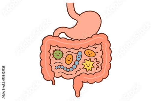 Good intestine flora concept. Healthy gut microbiome with probiotic bacteria. Gastrointestinal tract and digestive system organ icon. Digestion and gut health cartoon vector.