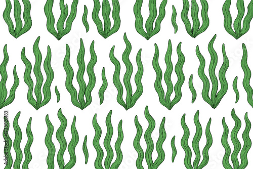 Seaweed seamless pattern vector. Hand drawn green algae background. Simple cartoon kelp illustration for fabric. Marine ocean plant nature texture. Underwater botanical repeat.