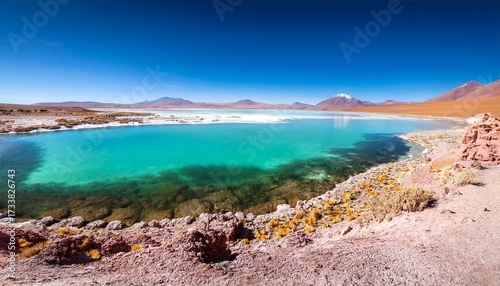 Lagunas Escondidas De Baltinache Amazing Blue Salty Water Atacama Desert Chile
