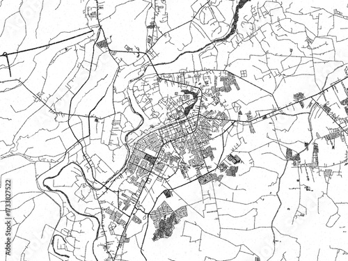 Foto Poster-ready black and white illustration map of Cabanatuan City, Philippines, detailed and artistic