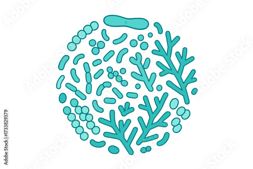 Probiotic bacteria types vector collection. Good microbiota with healthy prebiotic bacillus. Lactobacillus, streptococcus, bifidobacteria. Gut flora and human microbiome concept.