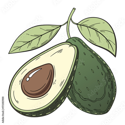 A photorealistic image of a fresh avocado sliced in half, with one half showing the large brown seed and the other half empty. The avocado has a vibrant green outer skin and smooth, creamy yellow-gree