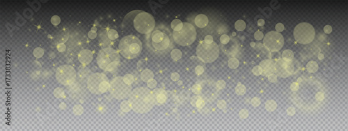 Golden bokeh light background with glitter particles. Transparent overlay with circles, dots, and star flecks. Vector effect pattern with soft bokeh orbs. Holiday template for luxury cards.