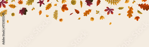 Fall leaves falling down, horizontal background. Autumn leaf flying, seasonal foliage banner with decorative natural botanical border, pattern, september decoration. Flat vector illustration.