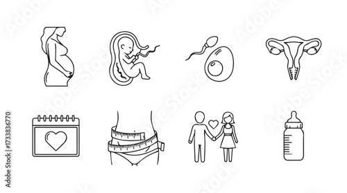 Human reproduction and pregnancy stages icons set female reproductive system fertilization and baby care vector