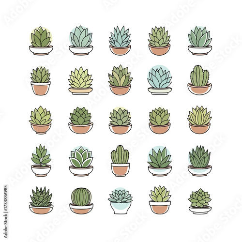 Vector illustration of collection of various potted succulent plants, including cacti and echeveria, in different pots, isolated on a